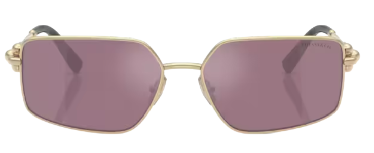 Sonnenbrille Tiffany & Co TF3111