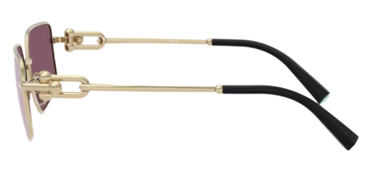 Sonnenbrille Tiffany & Co TF3111