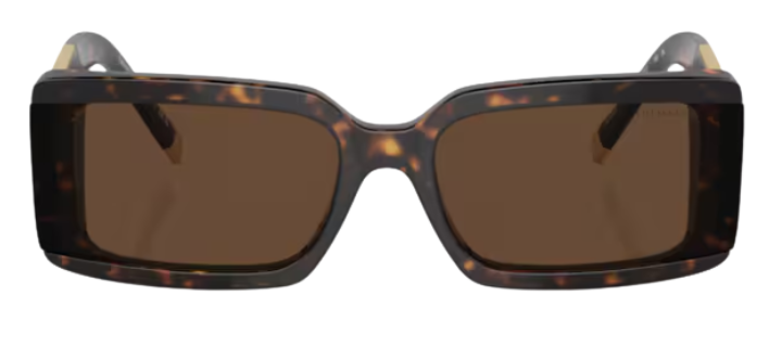 Óculos de sol Tiffany & Co TF4197