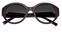 Óculos de Sol Tiffany & Co TF4227BU
