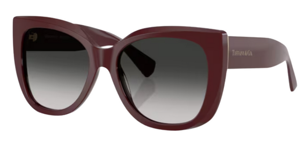Tiffany & Co TF4229 Sunglasses