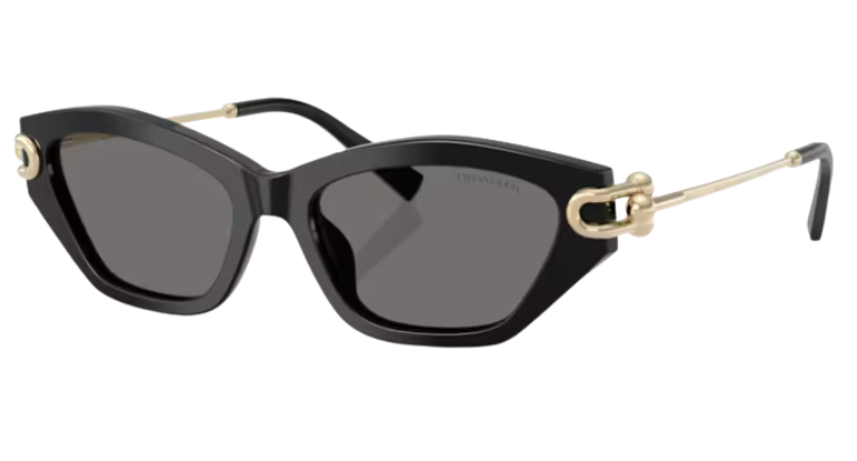 Óculos de sol Tiffany & Co TF4231U