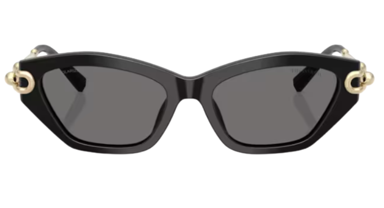 Óculos de sol Tiffany & Co TF4231U