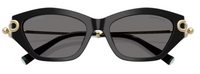 Óculos de sol Tiffany & Co TF4231U