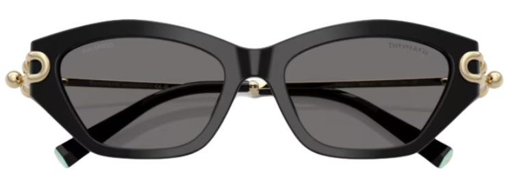Óculos de sol Tiffany & Co TF4231U