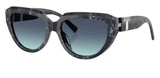 Gafas de sol Tiffany & Co TF4238U