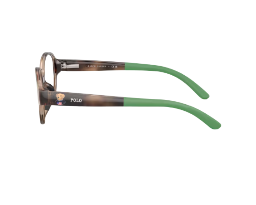 Sehbrille Polo Ralph Lauren PP8552