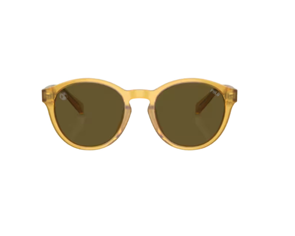 Óculos de Sol Ray Ban PP9505U
