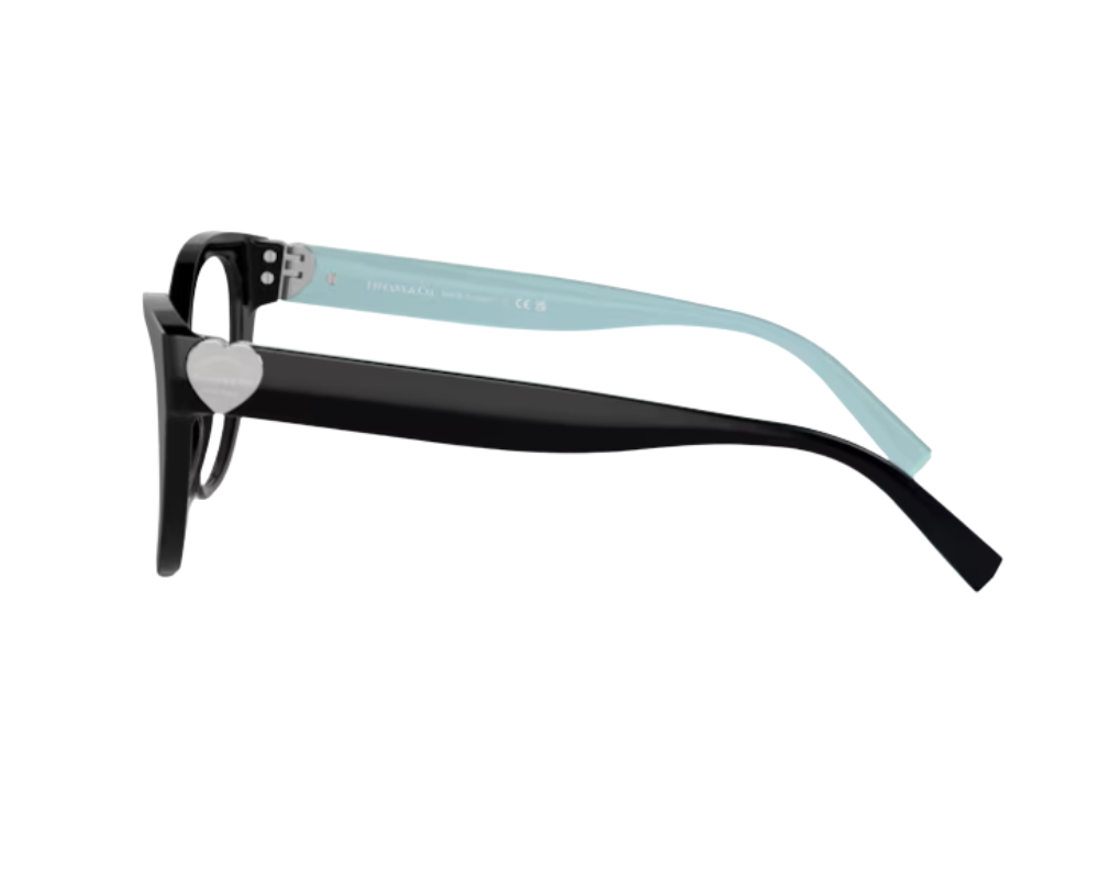 Brillen Tiffany & Co TF2251