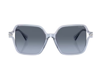 Occhiali da sole Ralph RA5319U