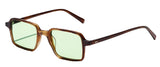 Gafas de Sol Moscot Originals SHINDIG OR-SHN-S