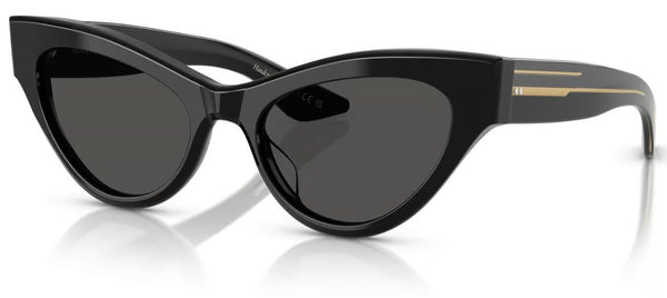 Sonnenbrille Oliver Peoples 1951C OV5573SU