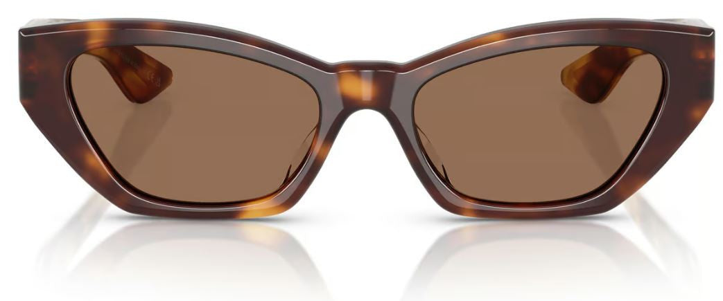 Gafas de Sol Oliver Peoples 1961C OV5582SU