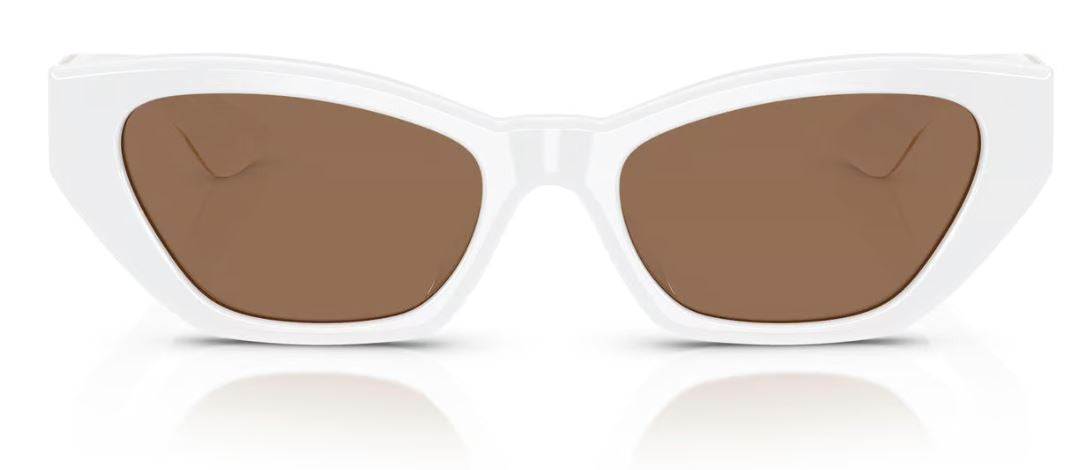 Gafas de Sol Oliver Peoples 1961C OV5582SU