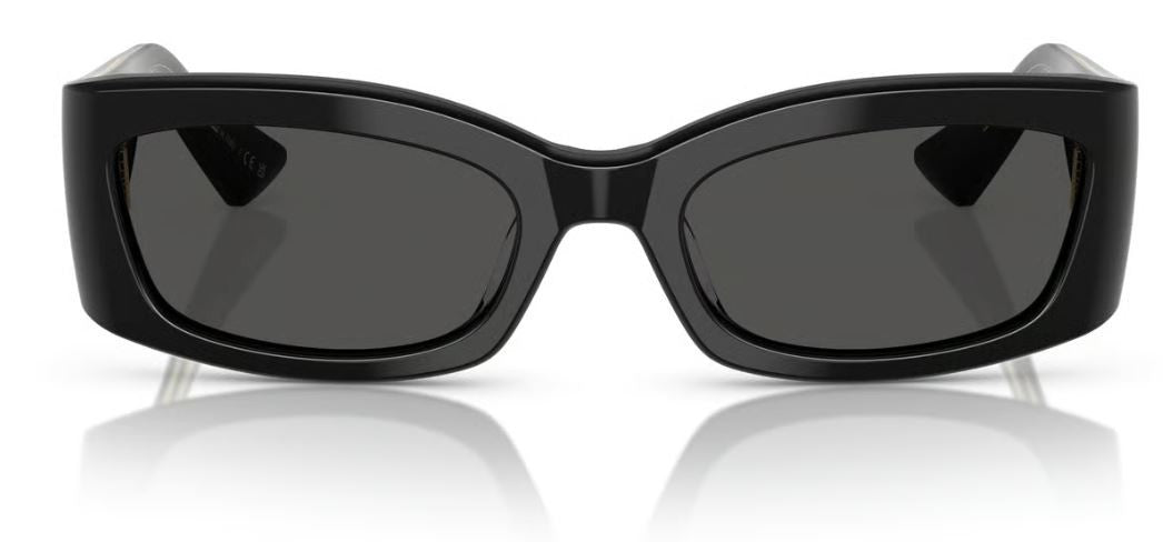 Sonnenbrille Oliver Peoples 1993C OV5575SU
