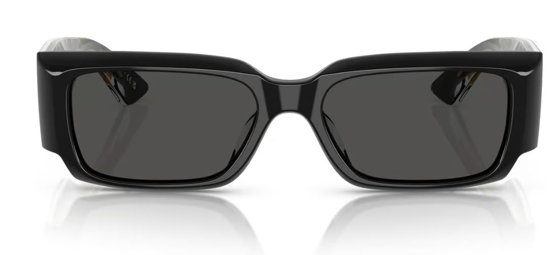 Óculos de Sol Oliver Peoples 1995C OV5583SU