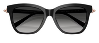 Óculos de sol Tiffany & Co TF4241D