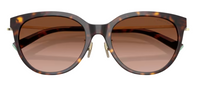 Tiffany & Co TF4243D Sunglasses