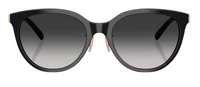 Tiffany & Co TF4243D Sunglasses