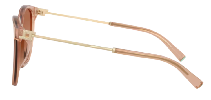 Gafas de sol Tiffany & Co TF4244D