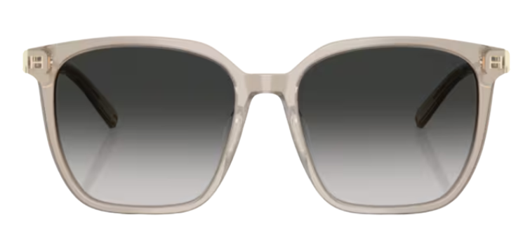 Gafas de sol Tiffany & Co TF4244D