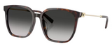 Gafas de sol Tiffany & Co TF4244D