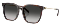 Gafas de sol Tiffany & Co TF4244D