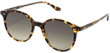 Gafas de Sol Peter and May LT4 Candy