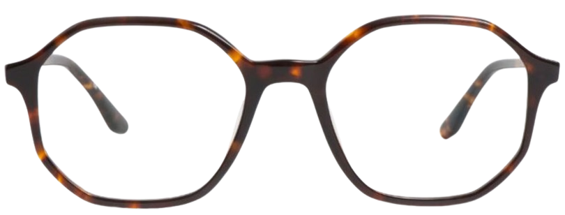 Peter and May Georgia Optical Glasses