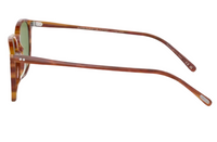Oliver Peoples Finley 1993 OV5491SU Sunglasses