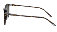Oliver Peoples Finley 1993 OV5491SU Sunglasses