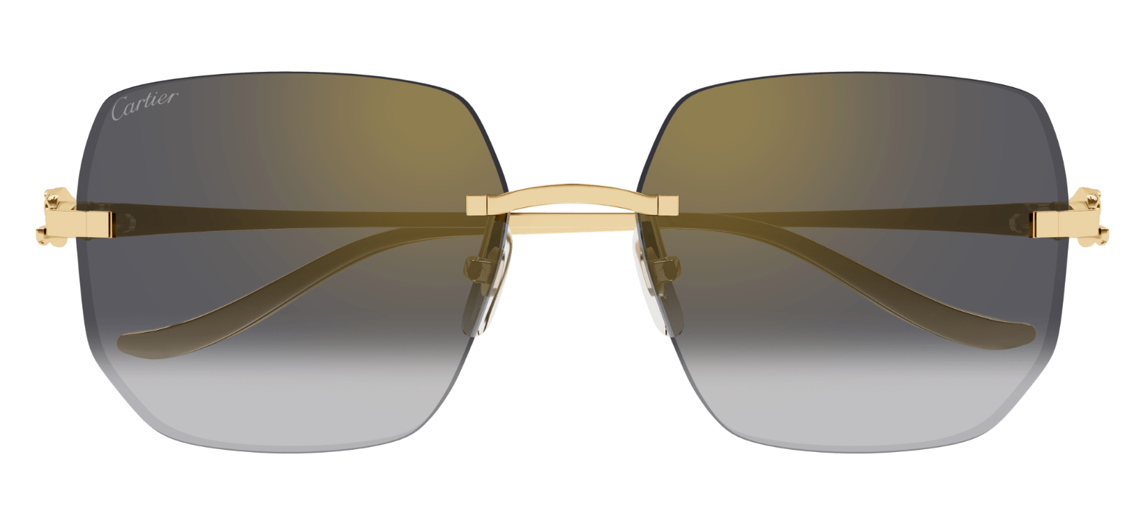 Óculos de sol Cartier Panthère CT0549S