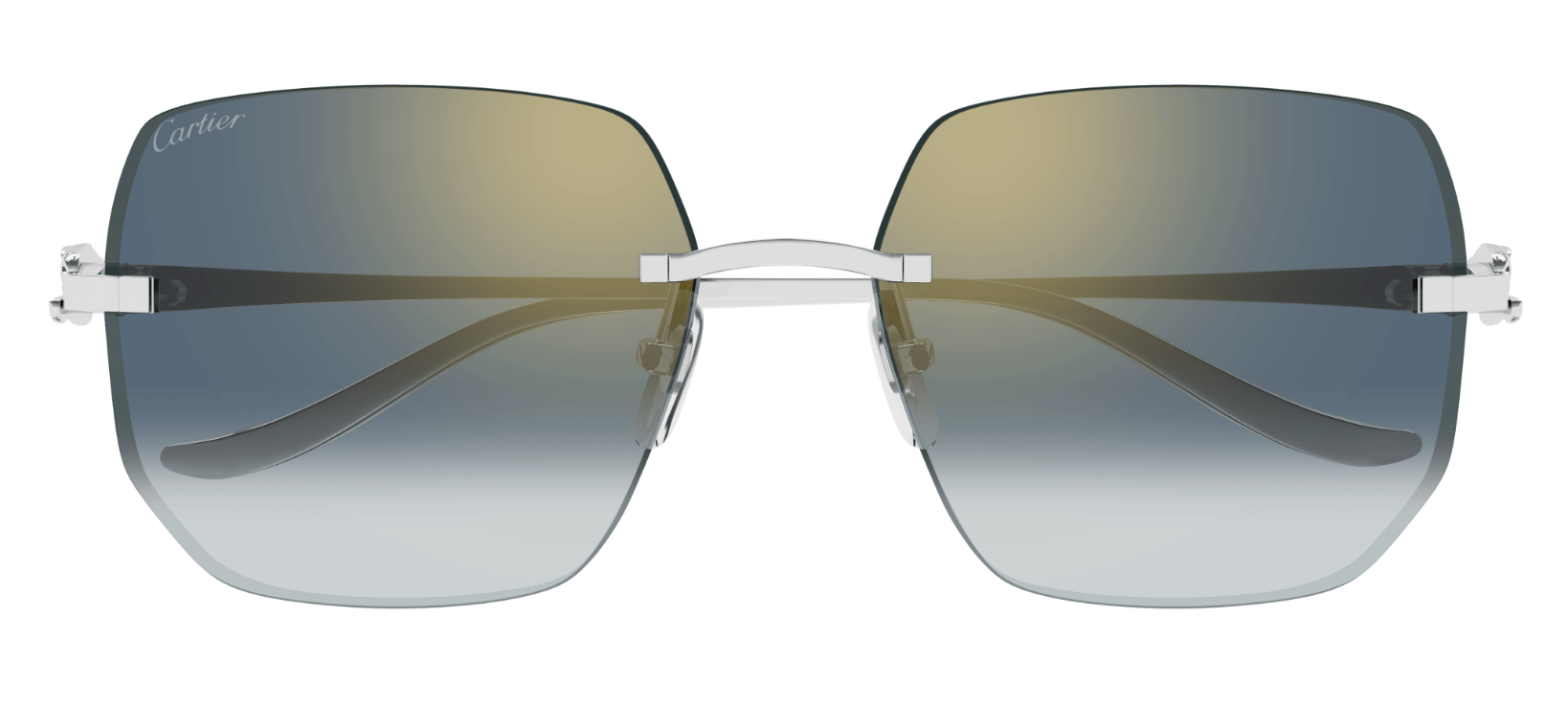 Óculos de sol Cartier Panthère CT0549S