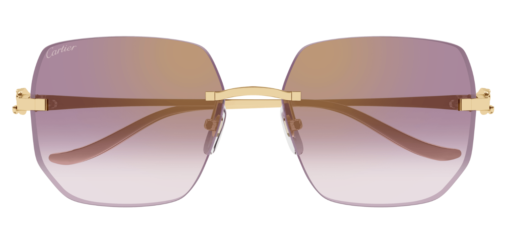 Óculos de sol Cartier Panthère CT0549S