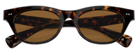 Óculos de Sol Oliver Peoples Avelin OV5541SU