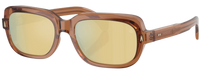 Sonnenbrille Moncler Suntrap ME6008