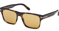 Óculos de Sol Tom Ford CALDER FT1205