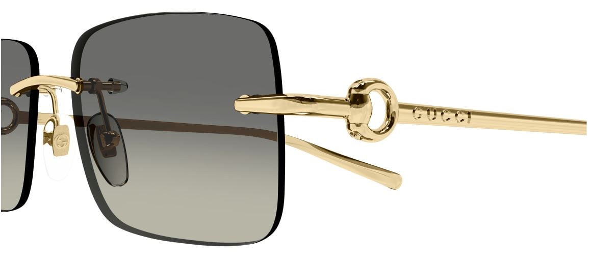 Sonnenbrillen Gucci Horsebit Sign GG1703S