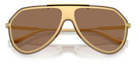 Gafas de sol Dolce & Gabbana DG2309