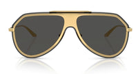 Gafas de sol Dolce & Gabbana DG2309