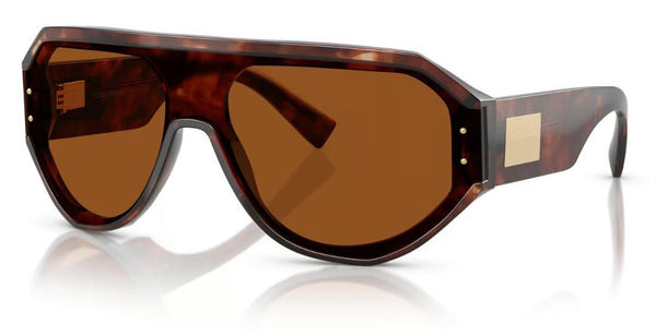 Lunettes de Soleil Dolce & Gabbana DG4481