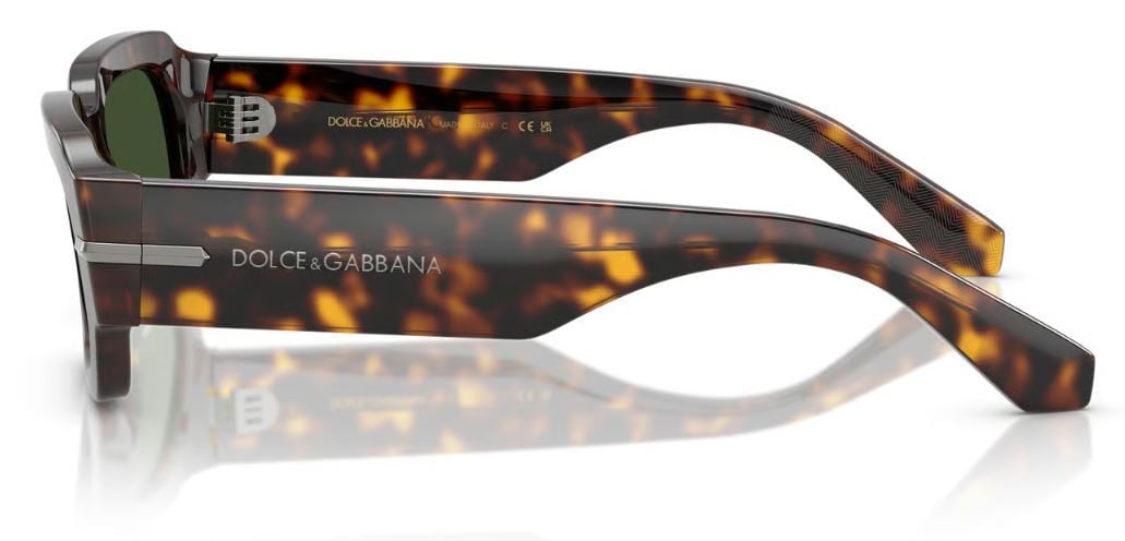 Dolce & Gabbana DG4485 Sunglasses