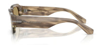 Dolce & Gabbana DG4485 Sunglasses