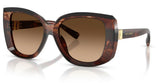 Gafas de Sol Dolce & Gabbana DG4495