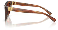Dolce & Gabbana DG4497 Sunglasses