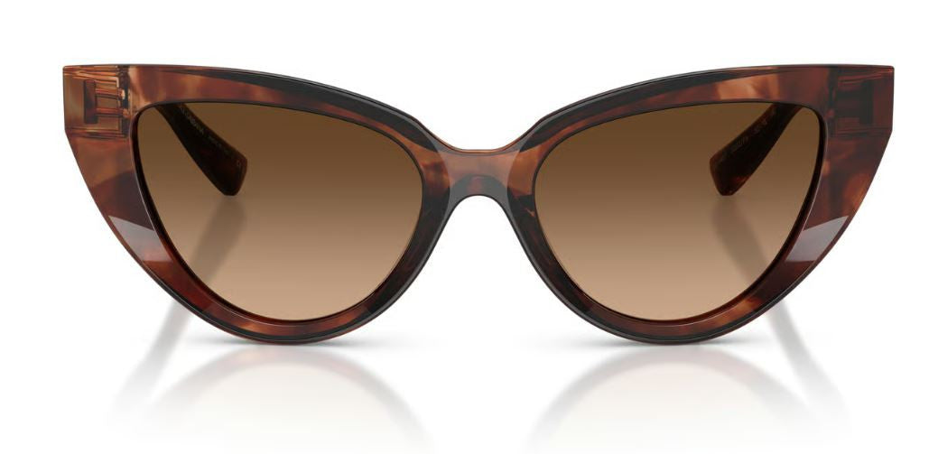 Dolce & Gabbana DG4497 Sunglasses