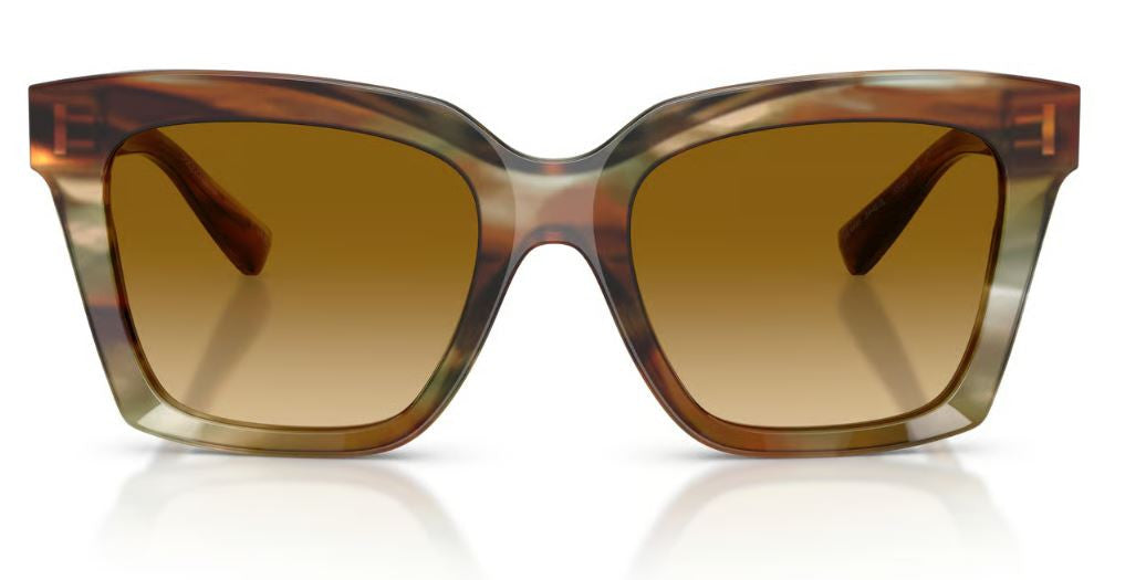 Gafas de sol Dolce & Gabbana DG4498
