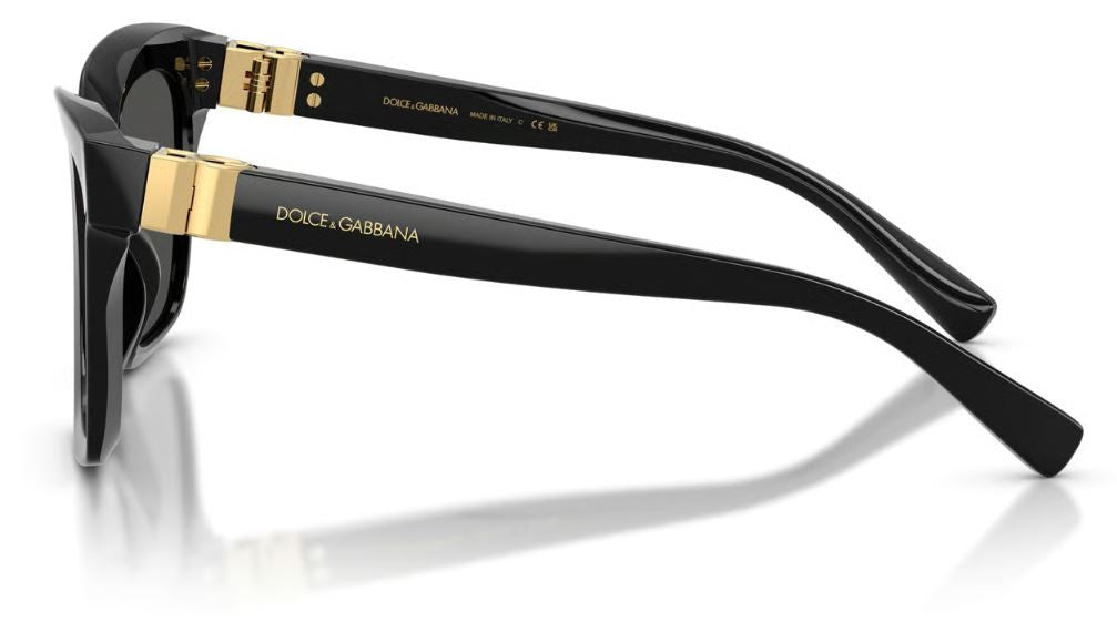Gafas de sol Dolce & Gabbana DG4498