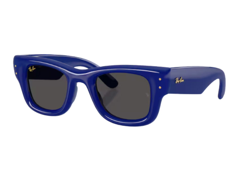 Gafas de sol Ray Ban Wayfarer puffer RB4940