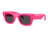Gafas de sol Ray Ban Wayfarer puffer RB4940